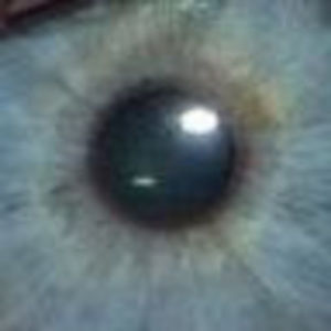 Meet your Posher, Charlene